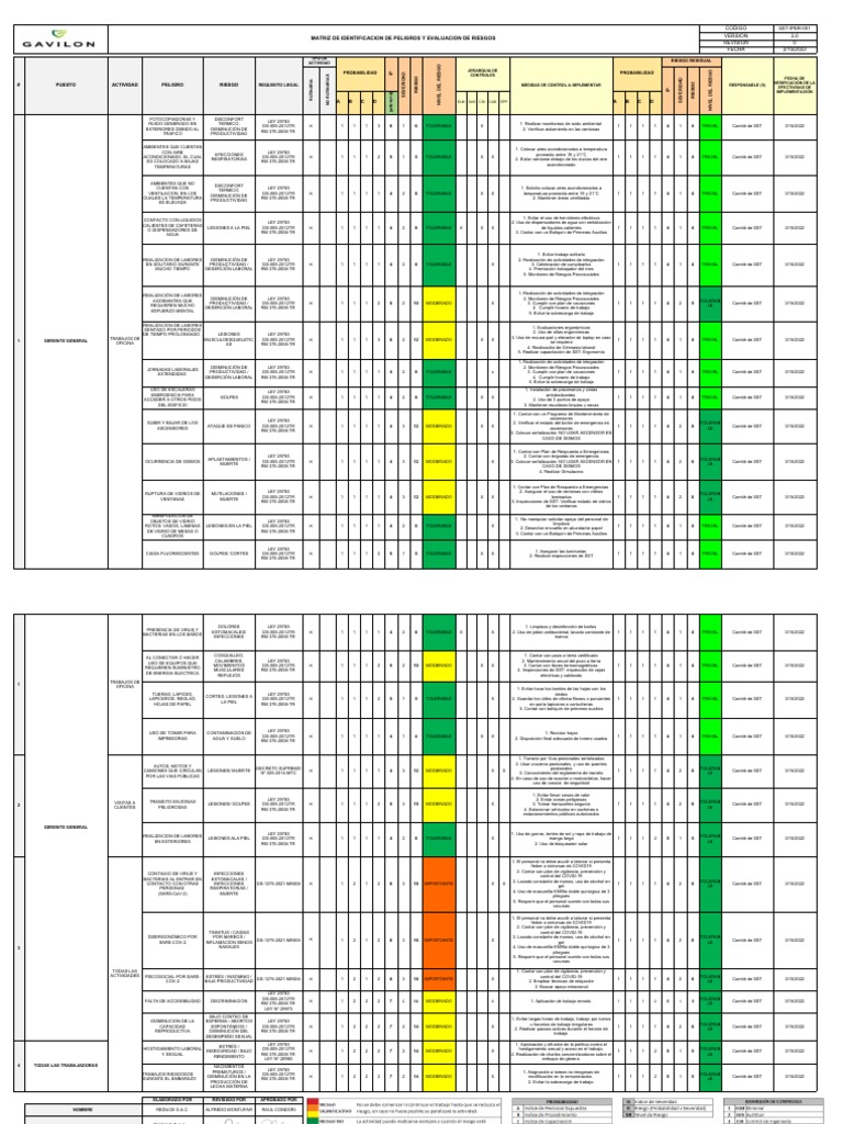Matriz de Riesgos y Controles SST | PDF | Especialidades Medicas ...