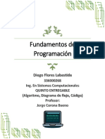 Fundamentos de Programacion - Entregable 5