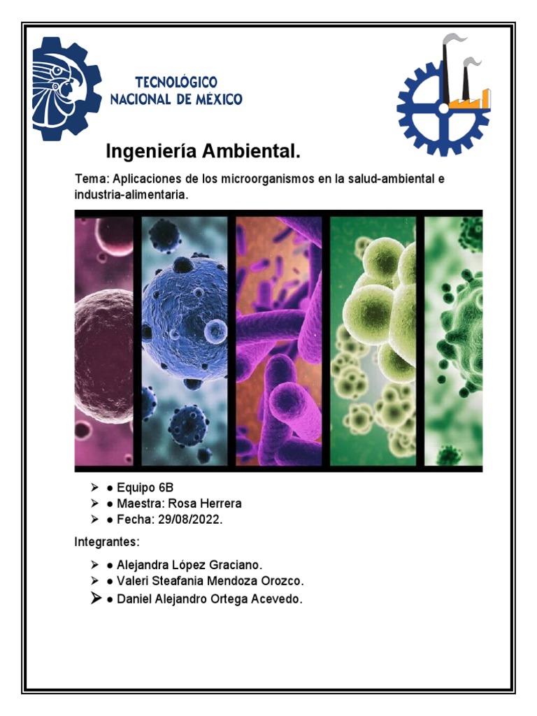 Aplicaciones de Los Microorganismos en La Industria Alimentaria 2 | PDF ...