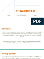 Build DNA Model with KNex & Analyze Replication Process