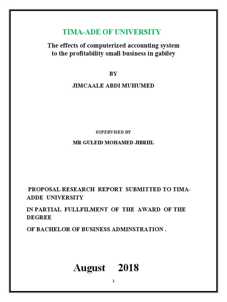 The Impact of Computerized Accounting Systems on the Financial ...