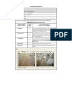 Deskripsi Petrografi RS-08: Compotition of Mineral Amount Description of Optical Mineralogy