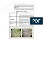 Deskripsi Petrografi RS-79: Compotition of Mineral Amount Description of Optical Mineralogy