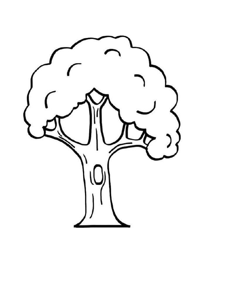 Dibujos para Colorear | PDF