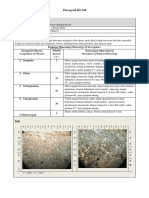 Petrografi RS-100: Compotition of Mineral Amount Description of Optical Mineralogy