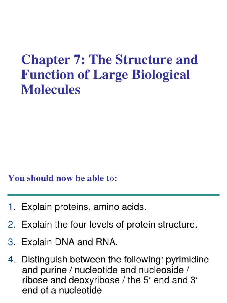 Proteins and Nucleic Acid 1 PDF Nucleotides Protein Structure