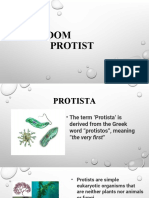 Kingdom Protist