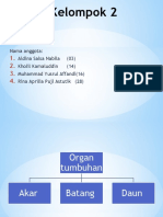 OPTIMALKAN ANATOMIDANTRANSPORTASITUMBUHAN