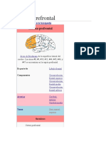 Corteza Prefrontal