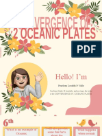 Oceanic and Oceanic Plate Convergence