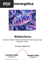 Bioenergetica