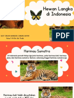 Hewan Langka Di Indonesia
