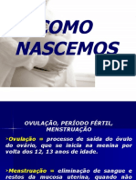 Como Nascemos