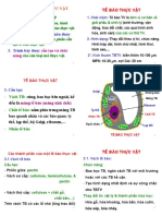 TVD G P Slide