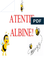 ATENTIE ALBINE