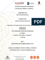 PDF 14 Ensayo Principios Eticos Del Consultor en Su Practica Profesional DL