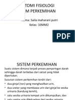 Sistem Perkemihan dan Proses Pembentukan Urin