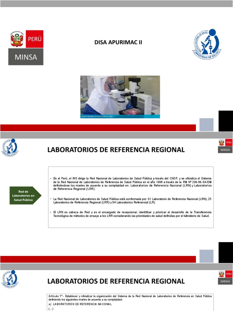 DISA II Apurimac | PDF | Descentralización