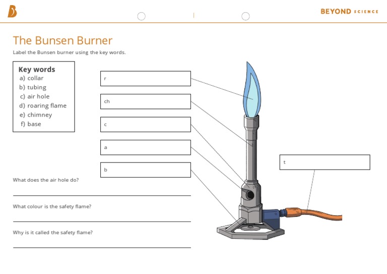 Labelling The Bunsen Burner Worksheet Support PDF