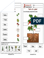 Parts of the plant