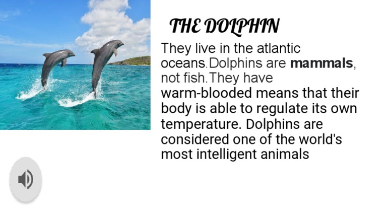 The Dolphin | PDF | Home & Garden