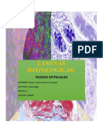 Laminas de Histologia - Jhojan Carlos Hancco Quispe