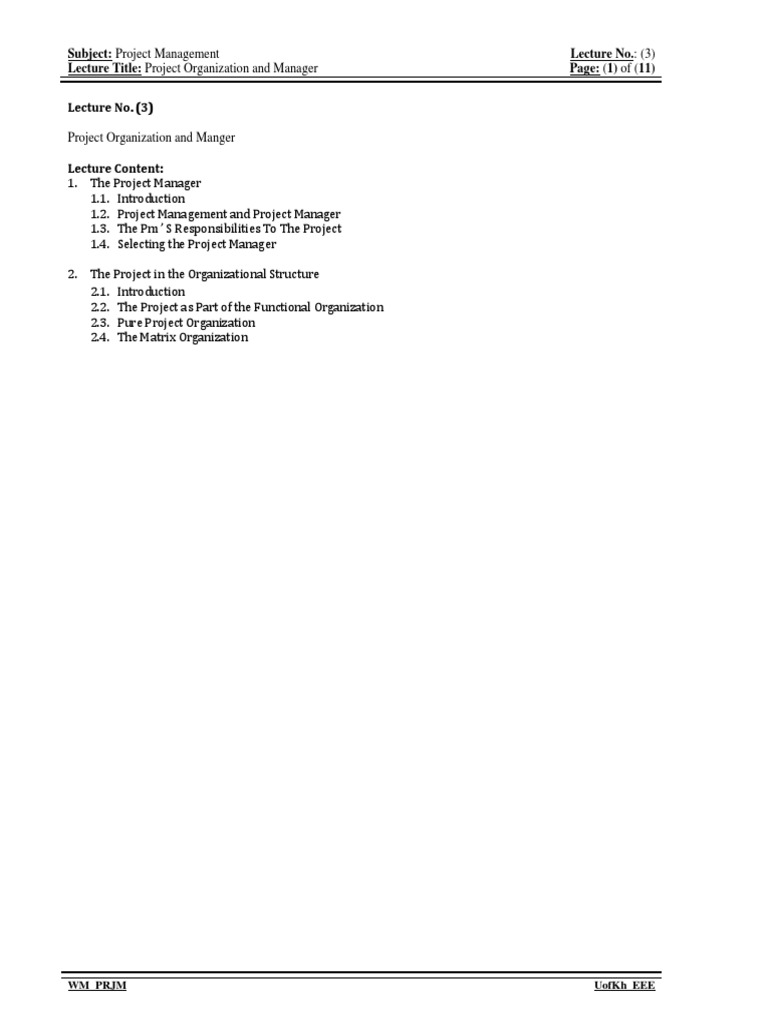 Project Management Organization Overview | PDF | Project Management ...