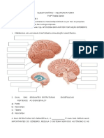 Questionário de Neuroanatomia com 10 questões