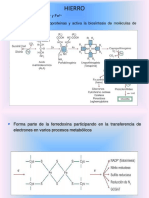 3 - Unidad V - Nutricion Mineral - Parte 2