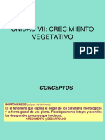 6 - Unidad VII - Crecimiento Vegetativo