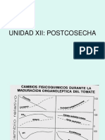 14 - Unidad XII - Fisiología de Poscosecha