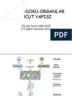 1.ders Hücre Ve Anatomiye Giriş