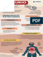 Actividad Salud Laboral Infografia Por Equpipos