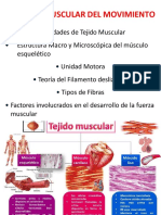Clase 004 Contro Muscular y Tipos de Fibras