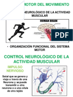 Clase 002 y 003a Control Nervioso Del Movimiento 1