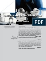 Articulo08 - Certeza de La Dactilos