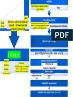 Arte Preistorica Mappa