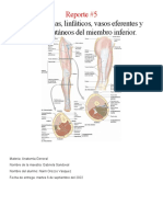 Reporte 5 Anatomia General