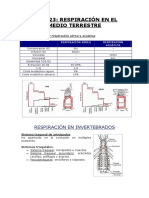 Tema 23