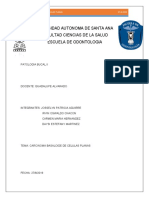 Carcinoma Basaloide de Células Planas