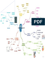 Mapa Mentla Teoria Del Conocimiento