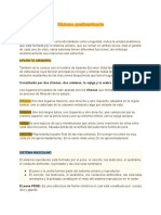 Sistema Urogenital.pdf