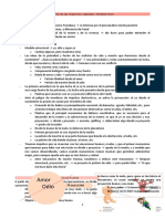 Teoría de Klein sobre la proyección y la formación del mundo interno