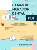 Sistemas de Numeración Dental