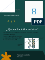 Acido Ribonocleico (ARN) : Idalia Macias Lopez