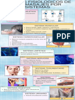 Infografía Efectos de Masaje