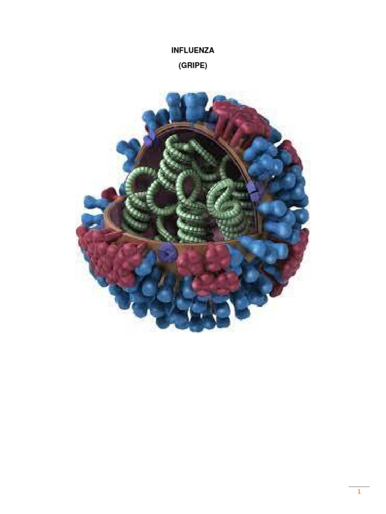INFLUENZA | PDF | Influenza | Virus de la Influenza A Subtipo H1 N1