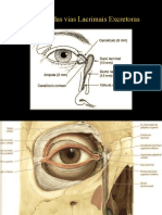 Anatomia e fisiologia das vias lacrimais