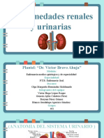 Sistema Renal