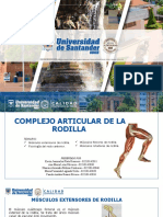 Rodilla Grupo 5 Final